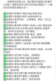 玫瑰花配發 chinese herbal tea health drink health benefits