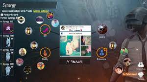Pubg Synergy Ft Mehar Change Settings Lovers Bff