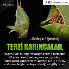 pin on instagram