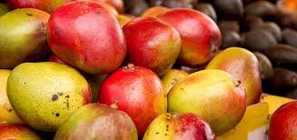 Check out below for information on foods that can help raise good. Top 15 Healthy Foods You Should Be Eating