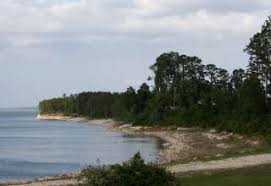 The park hosts at least it's a quiet, scenic drive through the lost pines forest from bastrop state park to buescher state park, and both parks offer camping and cabins, although. 30 Best Campgrounds In Texas