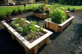 This is due to the much shorter growing season, cool nights, wind, critters, and possible watering restrictions. Kids Gardening Tips Ideas Projects At Home
