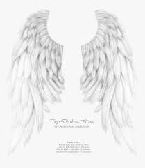 When drawing a rough sketch for a bird, use some kind of visual reference, and start by drawing a simple. Realistic Angel Wings Realistic Angel Wings Drawing Hd Png Download Transparent Png Image Pngitem