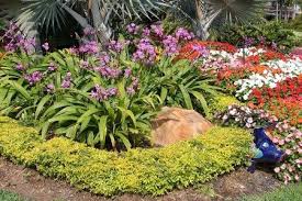 Duranta 01 Arbustos Guia De Jardineria Jardineria