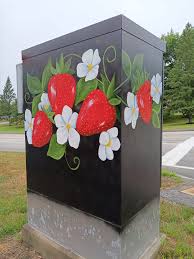 Wow, they're all over Lewiston. Let me know if I missed any. The artists  all did a phenomenon job painting. Are they power boxes?