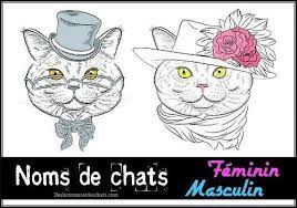 2 20 noms de chat femelle en n les plus populaires. Liste Des Noms Pour Un Chat Femelle Et Male Nom Original Pour Chat Nom De Chat Nom Pour Chaton Femelle Prenom Chat Rig Chat Male Noms De Chat Chat Femelle