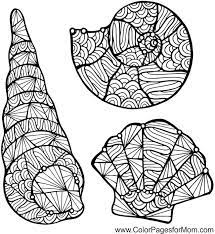 Mandala with seashells hand drawn decorated seashells with mandala. Beach Mandala Coloring Pages Novocom Top