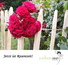 Den Zaun Gibt Es In Den Hohen 60cm Bis 200cm Das Edelkastanienholz Ist Unbehandelt Und Halt 20 Jahre Zaun Rosen Natur