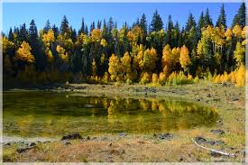 It borders the white rive. Grand Mesa Dezembercamper