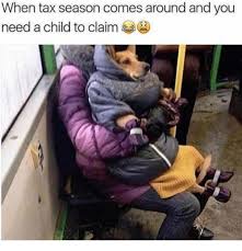 32 Seriously Funny Tax Return Memes Funny Dog Memes Funny Cats And Dogs Cute Cats And Dogs