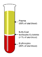Blood Specimen Collection And Processing
