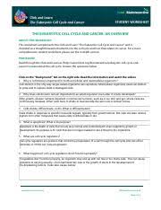 Start studying cell cycle answer key. Cellcycle Overview Pdf The Eukaryotic Cell Cycle And Cancer An Overview About This Worksheet This Worksheet Complements The Click And Learn The Course Hero