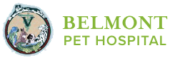 We did not find results for: A Trusted Animal Hospital Belmont Pet Hospital 650 593 3161