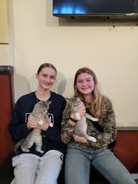 Quiggley and Quimby found a new home together!