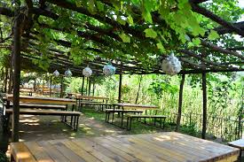 Www Rivasadikbabaninyeri Com Riva Da Kahvalti Et Mangal Piknik Semaver At Binme Kir Dugunu Sirket Etkinlikleri Ve D Patio Patio Umbrella Outdoor Decor