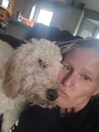 What food do goldendoodles like?