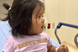 Fundraiser by Idania Rangel : Support for Our Family's Immigration Journey