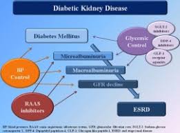 Ketonuria is important laboratory sign of decompensation of diabetes mellitus with transformation to diabetic coma. Preventing The Development And Progression Of Diabetic Kidney Disease Where Do We Stand Sciencedirect