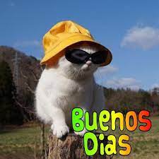 Saludos Graciosos Y Divertidos 1 0 0 Baixar Apk Para Android Aptoide