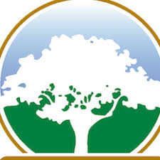 Maybe you would like to learn more about one of these? Camp Live Oak Home Facebook