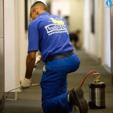 Contact pest control service in hyderabad on messenger. 13 Pest Control Service In Hyderabad Ideas Pest Control Services Pest Control Pests