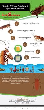 These insects have a small dark oval body, with varying color. Why Is Pest Control Important Pest Control Pest Control Services Pests