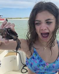 What to see at the butterfly conservatory?