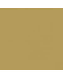 Image result for Golden Fawn 1974 Dodge