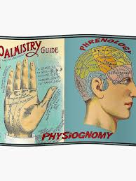 palmistry phrenology vintage brain and palm reading print poster