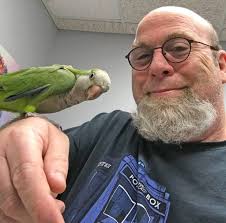 Loud and Invasive, the Monk Parakeet Charmed Its Way Into Texas Almost 50  Years Ago