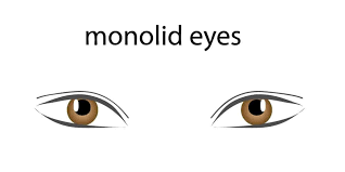 Use darker liner to slightly extend beyond the eyelid at the outer corners to give this. 8 Different Types Of Eye Shapes