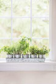 windowsill herb planters + tray