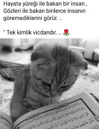 Gulcan Adli Kullanicinin Benim Renkli Dunyamm Panosundaki Pin 2020 Ilham Verici Alintilar Resimli Alintilar Guzel Soz