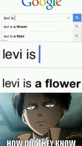 Attack On Titan Levi And Anime Image Anime Memes Funny Attack On Titan Meme Anime Funny