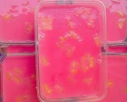 Pineapple And Raisin Gelatin Gelatin Gelatin Recipes Raisin