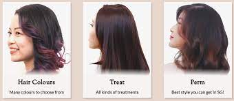 Browse our large selection of professional thinning & hair loss products online at saloncentric. The 29 Best Hair Salons In Singapore For Chic Cuts Colours 2021