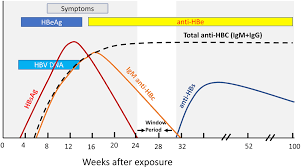 A simple blood test can also determine if you're immune to the condition. Preventing Hepatitis B In The Dialysis Unit Advances In Chronic Kidney Disease
