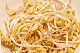 Merendam kacang kedelai di air bersih. Tauge Kacang Kedelai Rasanya