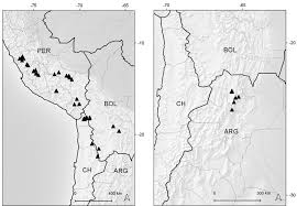 Check spelling or type a new query. Taxonomic Revision Of The Andean Genus Xenophyllum Compositae Senecioneae