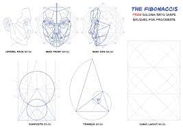 Free Golden Ratio Brushes 10 Fibonacci Shape Brushes Georg S Procreate Brushes Free Procreate Procreate Brushes Free Golden Ratio