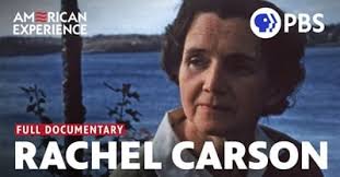 Greenlit (2009) Full Documentary