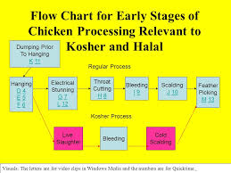 Comments For Flow Chart 1 The Next Slide Covers The Initial