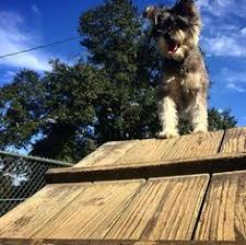 5 homes for sale in lafayette, la. 26 Louisiana Dog Parks Ideas Best Bud Dog Park Park
