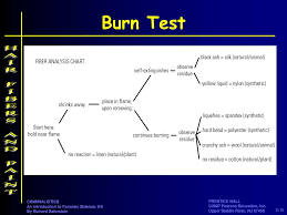 Chapter 8 Hair Fibers And Paint Ppt Download