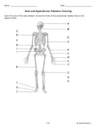 Pin On Anatomy And Physiology