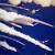 Space Shuttle Challenger Body Remains