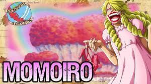 MOMOIRO ISLAND: Geography Is Everything - One Piece Discussion | Tekking101  - YouTube