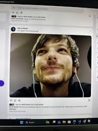 Urge to include them everywhere : r/larrystylinson