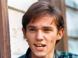 THE WALTONS COLLECTIBLES