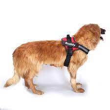 Dogs on harnesses are less likely to be tangled up in the leash accidentally. No Pull Professional Personalized Dog Name Harness Reflective And Breathable For Small And Large Dogs Petpoint Cc